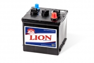 Lion-203