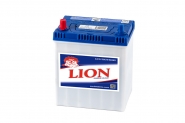 Lion-228