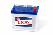 Lion-251