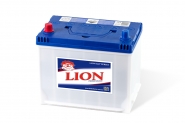 Lion-264