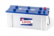 Lion-291