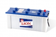 Lion-292