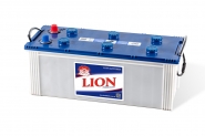 Lion-294