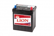 Lion-427