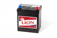 Lion-429