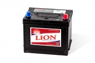 Lion-451