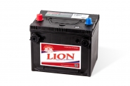 Lion-462