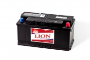 Lion-483